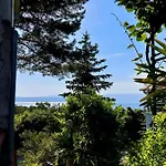 Z Njivice